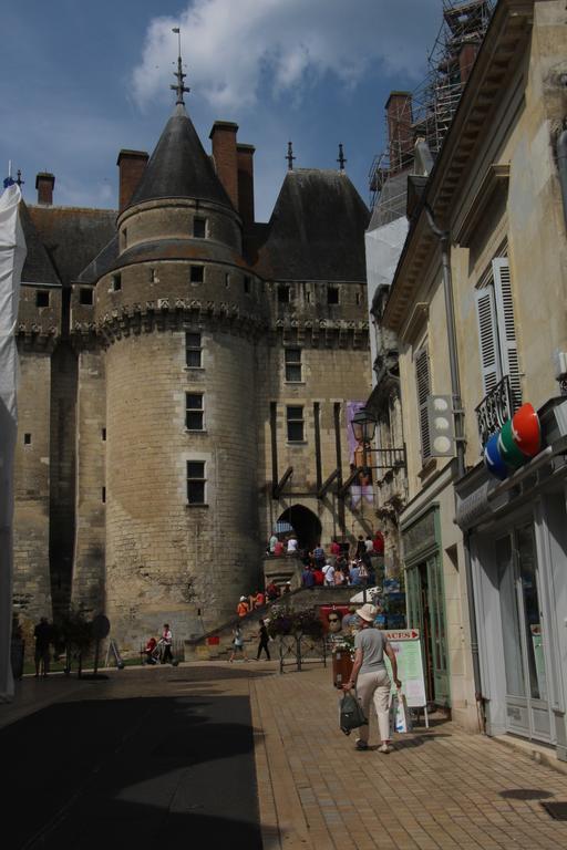 Chambres et Table d'Hôtes Les Machetières Langeais Esterno foto