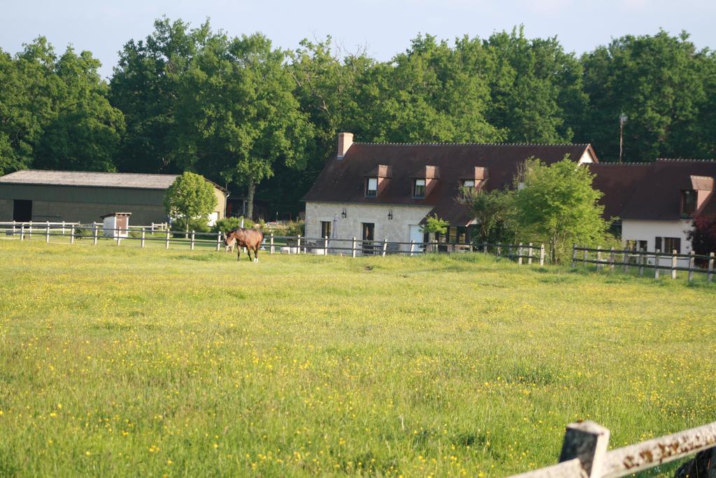 Chambres et Table d'Hôtes Les Machetières Langeais Esterno foto