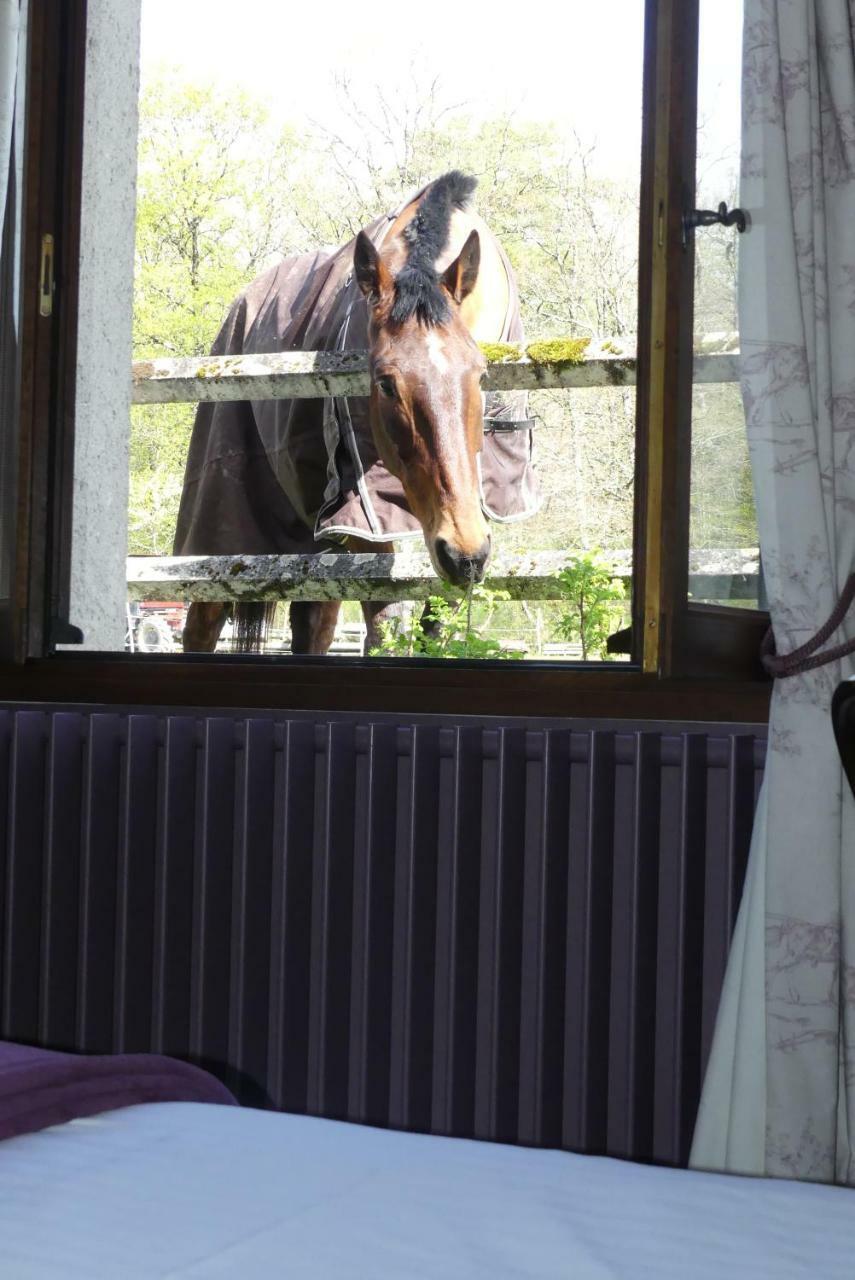 Chambres et Table d'Hôtes Les Machetières Langeais Esterno foto